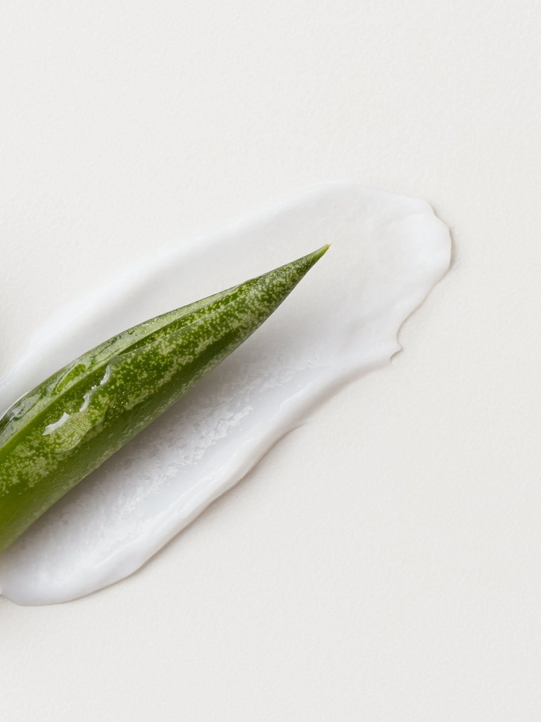 AG Hair conditioner formula featuring hydrating aloe and plant-based oils