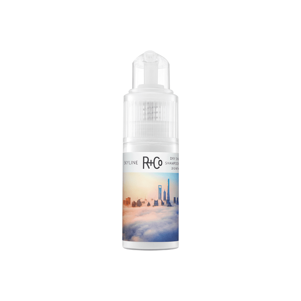SKYLINE Dry Shampoo Powder for texture