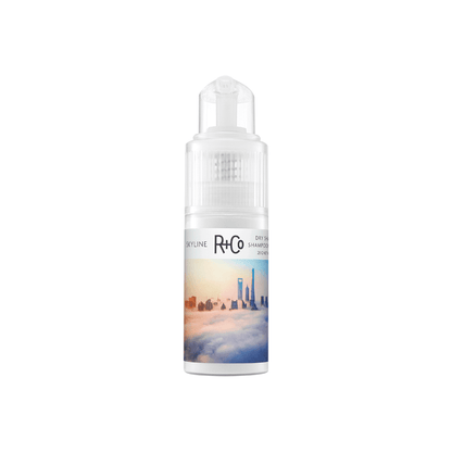 SKYLINE Dry Shampoo Powder for texture