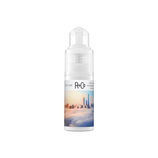 SKYLINE Dry Shampoo Powder for texture