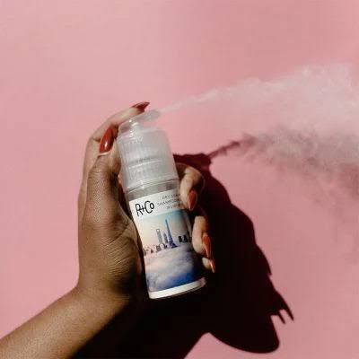 R+Co | SKYLINE Dry Shampoo Powder