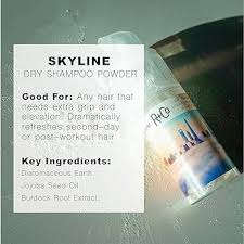 R+Co | SKYLINE Dry Shampoo Powder